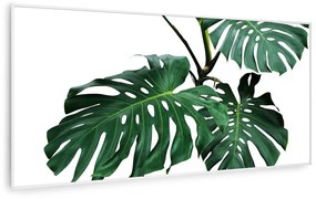 Klarstein Wonderwall Air Art Smart, infravörös hősugárzó, 120 x 60 cm, 700 W, zöld levél