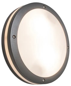 Fali és mennyezeti lámpa sötétszürke 2-lámpás IP54 - Glow