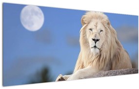 Kép - Fehér oroszlán (120x50 cm)