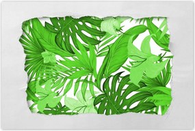 Poszterek 60x40 Leaves Monstera New look