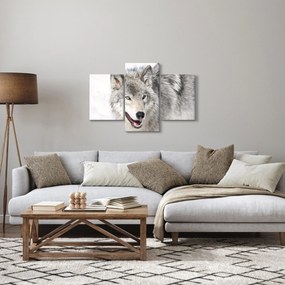 Kép - Farkas a természetben (90x60 cm)