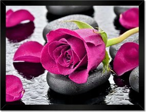 Poszterek keretben 40x30 Rózsaszín rózsa köveken