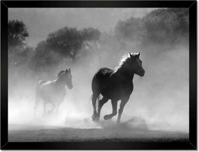 Poszterek keretben 40x30 Galoppozó lovak