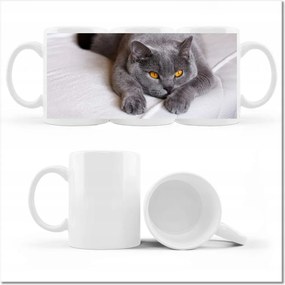 Cica fényképes bögre Cica