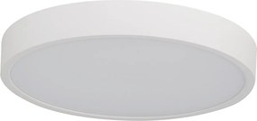 Pandino LED általános mennyezeti lámpa