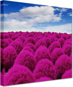 Festmények 20x20 Kifejező rét Tájkép