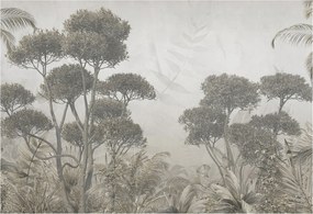 Fotótapéta Falra Előszoba Konyha Trópusi dzsungel 152x104 Ragasztó