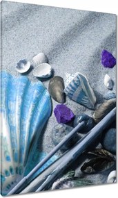 Vászonkép 70x100 Kompozíció kagylóval