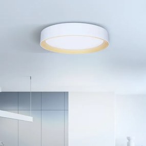 Brilagi -LED Dimmelhető lámpa LARIOS LED/60W/230V 3000-6500K ø 49 cm fehér + távirányító