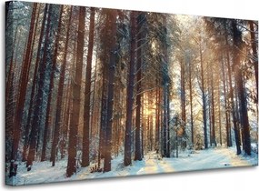 Vászonkép Erdő Tél Hó Fehér Természet 100x60 cm Ideális ajándék