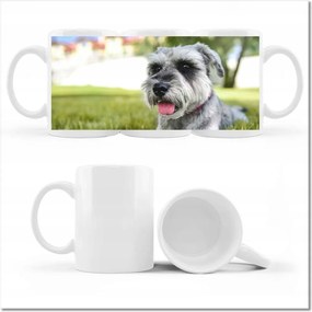 Fényképes bögre Aranyos kutyus Kutya