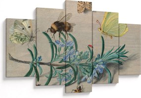 Kép - Jan van Kessel the Elder, Insects and a Sprig of Rosemary, reprodukciók (150x105 cm)