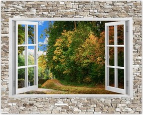 Poszterek 50x40 Ćszi kilĂĄtĂĄs az ablakbĂłl