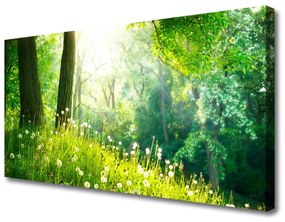 Vászonkép Mező Természet Plant 100x50 cm