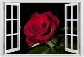 Poszterek 60x40 Aranyos rózsa