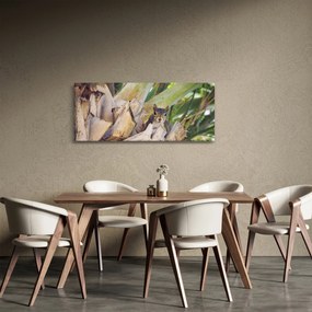 Mókus képe a fán (120x50 cm)