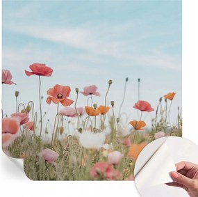 Öntapadós Dekoratív Fotótapéta Hálószobába Pipacsvirágok 250x250 cm