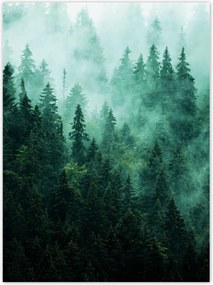 Poszterek 100x135 Erdő Köd Tájkép Utazás