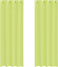 vidaXL 2 db almazöld fátyolfüggönyök rojtokkal 140x300 cm