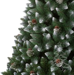 Karácsonyfa Fehér végű erdei fenyő 2D 250 cm