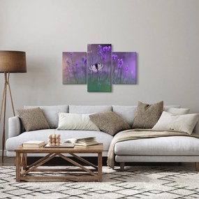 Kép - Pillangó a levendulán (90x60 cm)