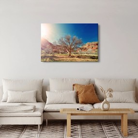 Fa a sivatagban képe (90x60 cm)