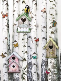 Flizelin fotótapéta Nyírfa liget madarak erdei fülkék pillangók 206x275 +ragasztó