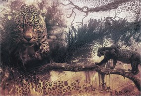 Fotótapéta Dekoratív Fali Tapéta Képekkel Erdei motívum 152x104