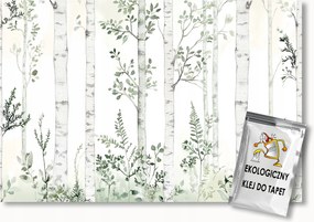 Fotótapéta Flizelina Grafika Természet Erdő Park Nyírfák 150x105 ragasztó