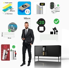 ROSA Modern fekete fém TV-szekrény