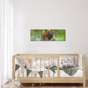 Kép - Futó tigris (órával) (90x30 cm)