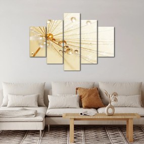 Kép - Makro fotó pitypangról (150x105 cm)