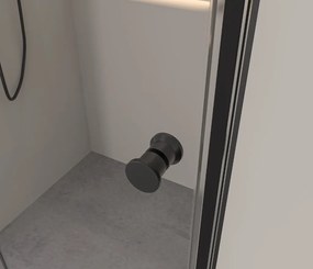 Erga Bern Dupla, zuhanykabin 2 szárnyas ajtókkal 80 (ajtó) x 120 (ajtó) x 195 cm, 6mm átlátszó üveg, fekete profil, ERG-V02-BERN-D080D120-CL-BK