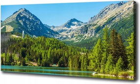 Vászonkép Tó a hegyekben 100x70 cm