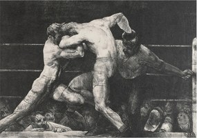 Flizelina Dekoratív fotótapéta az irodába Bokszoló párbaj 208x146 Ragasztó