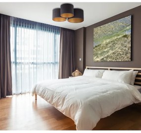 Duolla - Mennyezeti lámpa ROLLER TRIO 3xE27/60W/230V antracit