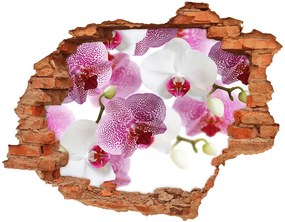 3d fali matrica lyuk a falban Murals orchidea nd-c-107506962