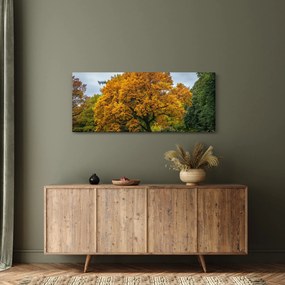 Fa képe (120x50 cm)