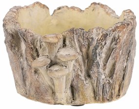 Beton burkolat - tusk with mushrooms, 18 x 14 x 9cm, 18 cm