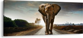 Elefánt képe (120x50 cm)