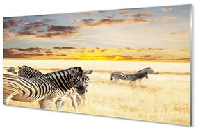 Akrilkép Zebrák mező naplemente 100x50 cm
