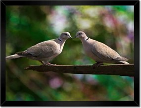 Poszterek keretben 40x30 Szerelem Érzés Párkapcsolat