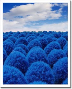 Poszterek keretben 40x50 Klasszikus kék színben