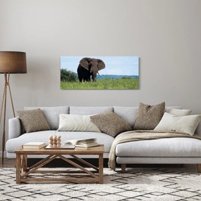 Egy elefánt képe (120x50 cm)
