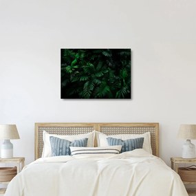Kép - trópusi páfrány (üvegen) (70x50 cm)