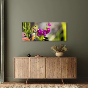 Kép - spa and stones (120x50 cm)