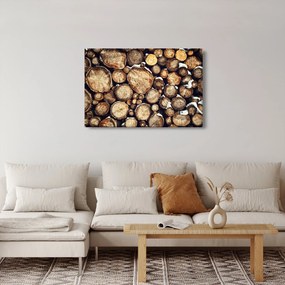 Kép - Fa a hóban (90x60 cm)
