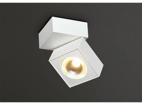 Maxlight ARTU mennyezeti lámpa, fehér, 3000 K, beépített LED, 1000 lm, 1x15,4W, MAXLIGHT-C0106