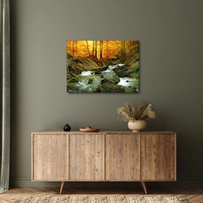 Kép - Erdő (70x50 cm)