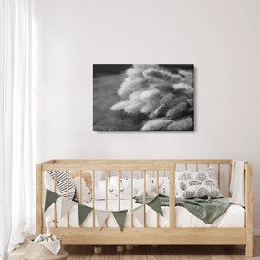 Kép - nyúlfarknyi fű az asztalon (90x60 cm)
